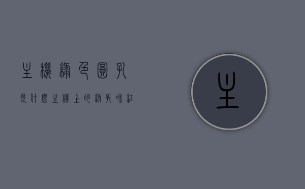主机绿色圆孔是什么（主机上的绿孔和红孔），主机上的绿色圆孔功能解析（关于主机绿孔和红孔），主机绿色圆孔和红孔解析，功能详解与区别指南