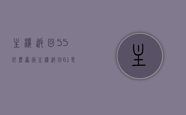 主机返回55什么原因（主机返回61是什么原因），主机返回代码解析，55与61原因揭秘，揭秘主机返回代码55与61的原因解析及解析方法，揭秘主机返回代码55与61的原因解析，解析方法与解析过程详解