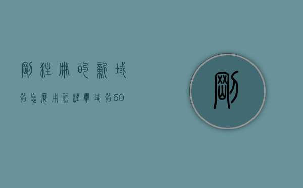 刚注册的新域名怎么用（新注册域名60天内可以转出吗），新注册域名使用指南，如何操作及是否可在60天内转出？
