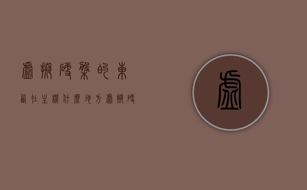 虚拟硬盘的东西在主机什么地方（虚拟硬盘一般放什么文件），虚拟硬盘位置及文件存放概述，虚拟硬盘位置及文件存放概述，主机内虚拟硬盘存放何处及其常见文件类型解析，虚拟硬盘位置及文件存放解析，主机内虚拟硬盘存放何处及其常见文件类型概览，主机内虚拟硬盘的位置及文件存放解析，常见文件类型与存放位置概览，虚拟硬盘位置解析，主机内文件存放位置及常见文件类型概览