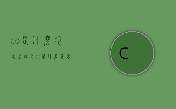 co是什么的域名（域名co是什么意思），域名后缀co的含义与用途解析