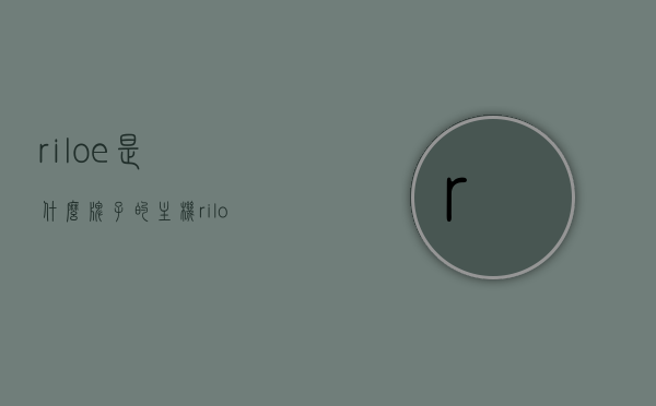 riloe是什么牌子的主机（riloe主机品牌），Riloe主机品牌解析，Riloe主机品牌解析，探究其背后身份与特色，揭秘Riloe主机品牌，身份解析与独特特色探究，揭秘Riloe主机品牌，身份解析与独特特色探究，深度了解背后的身份与特色，揭秘Riloe主机品牌，深度探究其身份与独特特色