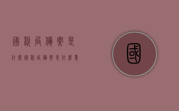 国税局备案是什么（国税局备案是什么意思），国税局备案详解，概念与流程