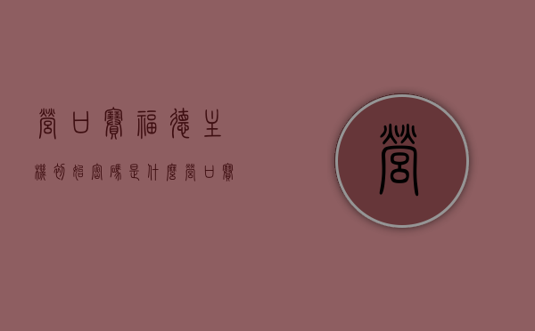 营口赛福德主机初始密码是什么（营口赛福德主机通用密码），营口赛福德主机初始密码及通用密码解析