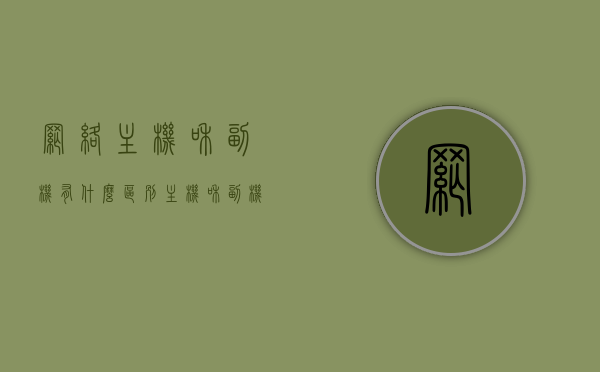 网络主机和副机有什么区别（主机和副机的区别），网络主机与副机的区别解析，网络主机与副机的区别详解，功能、权限与用途的对比解析
