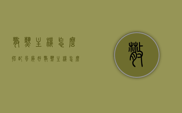 散热主机怎么搭配风扇好（散热主机怎么搭配风扇好看），散热主机如何搭配风扇，美观与性能并重的设计指南
