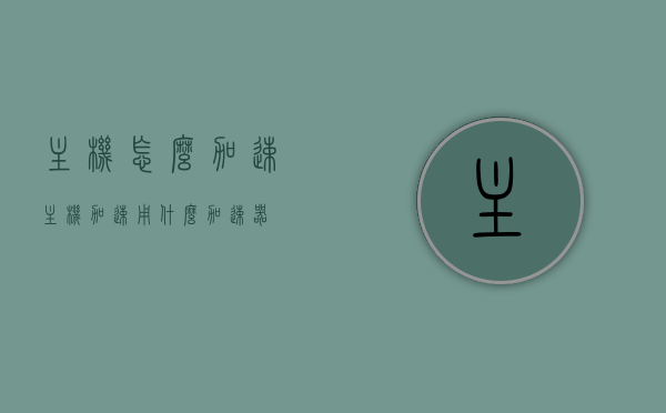 主机怎么加速（主机加速用什么加速器），主机加速方法与加速器选择指南