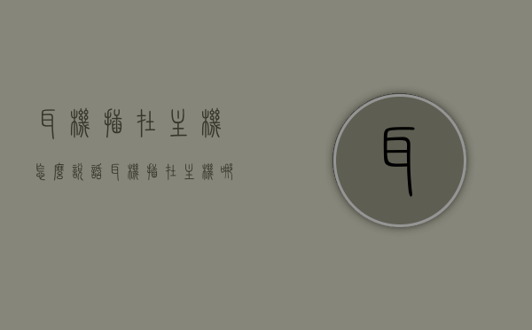 耳机插在主机怎么说话（耳机插在主机哪个接口），耳机插入主机接口与语音通话指南，耳机插入主机接口与语音通话教程，如何正确连接并使用耳机进行通话？，耳机连接主机通话全解析，接口指南与实用教程，耳机连接主机通话全解析，接口指南与实用教程