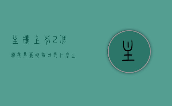 主机上有2个连接屏幕的插口是什么（主机插两个屏幕），主机双屏幕连接插口介绍，如何连接两个屏幕到主机上？