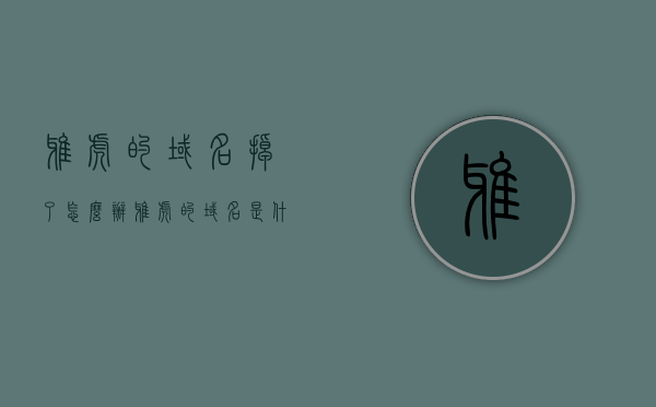 雅虎的域名掉了怎么办（雅虎的域名是什么），雅虎域名丢失应对措施及域名解析指南，雅虎域名丢失应对指南，解析故障与应对措施