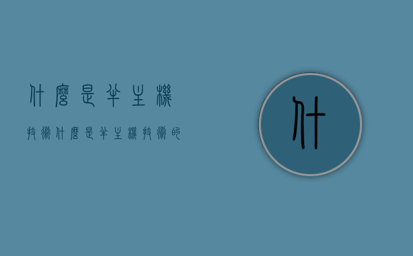 什么是半主机技术（什么是半主机技术的核心），半主机技术的核心解析与概述