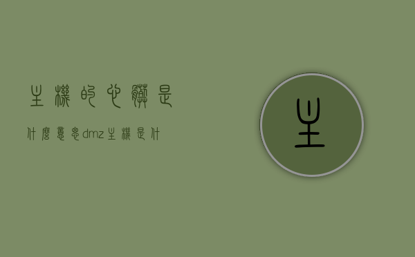 主机的心脏是什么意思（dmz主机是什么意思），主机心脏与DMZ主机含义解析