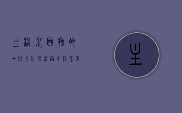 主机里面插的卡条叫什么名称（主机里面插的卡条叫什么名称图片），主机内部插的卡条名称及图片介绍，主机内部插的卡条名称介绍与图片解析，卡条名称及其功能详解