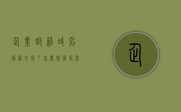 企业邮箱域名解析失效了怎么恢复（企业邮箱域名解析中），企业邮箱域名解析失效恢复指南（解决企业邮箱域名解析问题），企业邮箱域名解析失效恢复指南，解决域名解析问题的实用指南（附恢复步骤），企业邮箱域名解析失效恢复全攻略，实用指南与恢复步骤