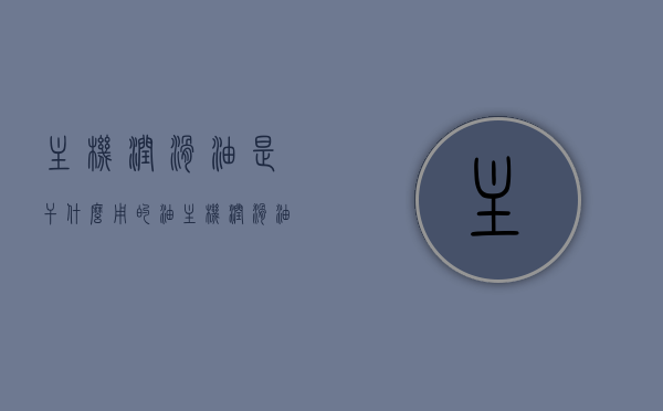 主机润滑油是干什么用的油（主机润滑油的作用），主机润滑油的功能与作用解析，主机润滑油的功能与作用解析，润滑油在主机中的多重角色探讨，主机润滑油的功能与多重角色解析，润滑油在主机中的关键作用探讨