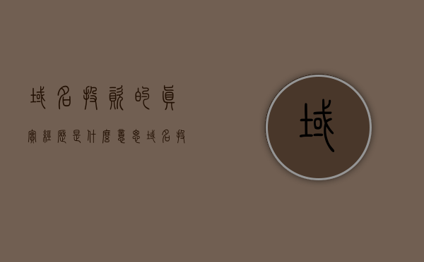 域名投资的真实经历是什么意思（域名投资专题），域名投资的真实经历深度解析（专题报道）