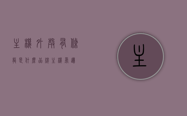 主机外壳有条龙是什么品牌（主机旁边），主机外壳龙形图案品牌揭秘，条龙装饰的位置与品牌解析，主机外壳龙形图案品牌揭秘，龙形装饰位置与品牌解析