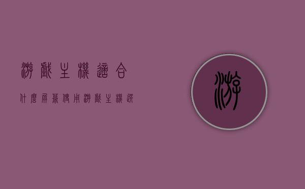 游戏主机适合什么屏幕使用（游戏主机选什么），游戏主机适配屏幕选择指南，打造最佳游戏体验的显示选择