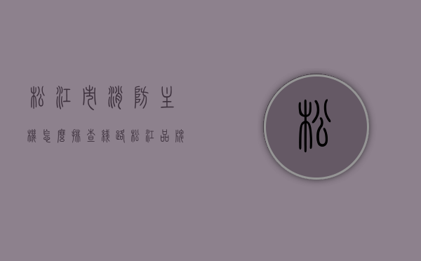 松江市消防主机怎么排查线路（松江品牌消防主机的操作讲解），松江市消防主机线路排查详解及操作指南（消防主机操作讲解），松江市消防主机线路排查详解与操作指南，消防主机操作及线路检测全攻略，松江市消防主机线路排查详解与操作指南，消防主机操作及线路检测全攻略。，松江市消防主机线路排查详解与操作指南，从基础操作到深度检测攻略，松江市消防主机线路排查详解与操作指南，从基础到深度检测的全方位指南，松江市消防主机线路排查详解与操作指南，从基础到深度检测的全方位指南。