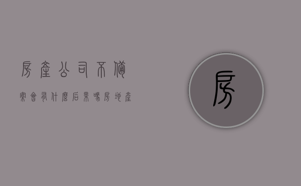 房产公司不备案会有什么后果吗（房地产商不备案怎么办），房地产公司不备案的风险与应对之策，房地产公司不备案的风险及应对之策，后果与解决方案探讨
