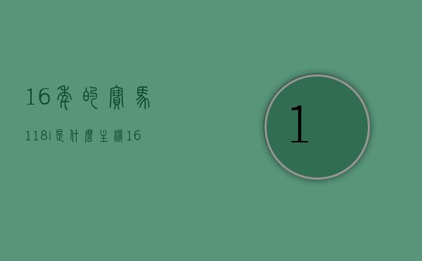 16年的宝马118i是什么主机（16年宝马118i价格15t），关于宝马118i主机及价格解析，揭秘，2016款宝马118i主机详解及价格解析