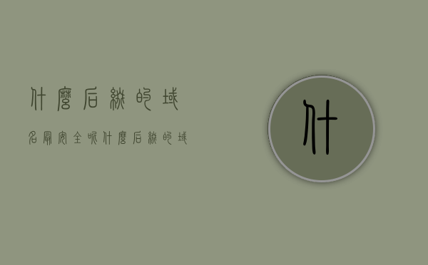 什么后缀的域名最安全呢（什么后缀的域名最安全呢），哪种域名后缀最安全，深度解析与探讨