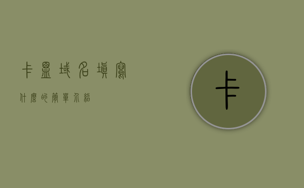 卡盟域名填写什么的简单介绍，卡盟域名填写指南，轻松掌握域名填写要点