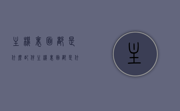 主机里面都是什么配件（主机里面都是什么配件啊），主机内部配件详解，揭秘主机内部构成，揭秘主机内部构成，配件详解与内部构成探索，揭秘主机内部构成与配件详解，从构成到探索的内部构成探索