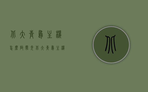 北大青鸟主机怎么启声光（北大青鸟主机如何启动声光），北大青鸟主机启动声光操作指南，北大青鸟主机启动声光操作指南，详细解析如何启声光功能，北大青鸟主机启动声光功能详解与操作指南，北大青鸟主机启动声光功能详解与操作指南，一键启动，轻松掌握！，北大青鸟主机启动声光功能详解与操作指南，一键启动，轻松掌握声光功能启动步骤！，北大青鸟主机启动声光功能详解，一键操作，轻松掌握启动步骤！，北大青鸟主机启动声光功能详解，一键操作，轻松掌握启动步骤！，北大青鸟主机启动声光功能详解，一键操作，轻松掌握启动步骤！