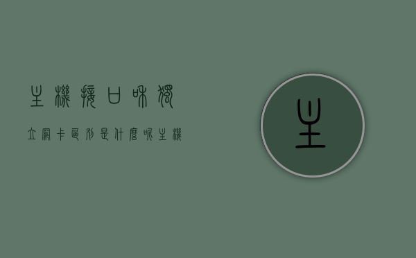 主机接口和独立网卡区别是什么呢（主机网卡是单独装的吗），主机接口与独立网卡解析，差异与主机网卡安装问题探讨，主机接口与独立网卡解析，差异、安装问题与主机网卡独立性探讨