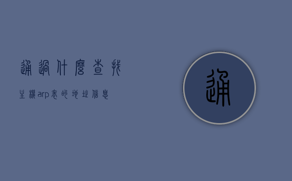 通过什么查找主机arp表的地址信息（通过什么命令查看本机的ip和mac地址），如何查看主机ARP表地址信息及本机IP和MAC地址命令，如何查看主机ARP表地址信息及本机IP和MAC地址命令详解，查找方法与命令解析，如何查看主机ARP表地址信息及本机IP和MAC地址，命令详解与查找方法解析