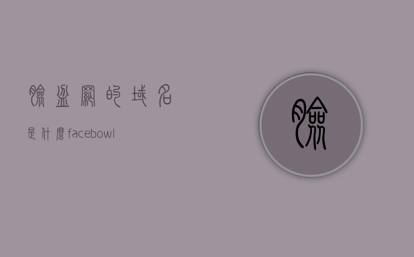 脸盆网的域名是什么（facebowl脸盆网），脸盆网域名解析，探索Facebowl的真实网址