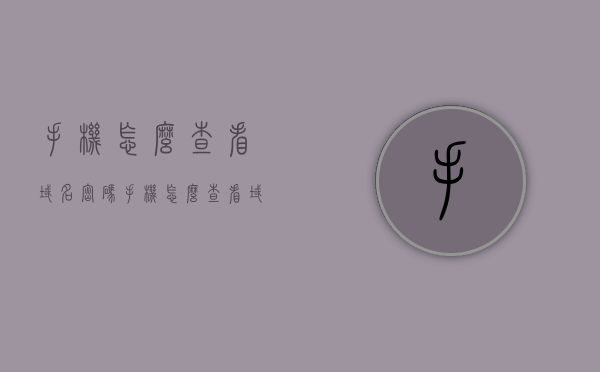 手机怎么查看域名密码（手机怎么查看域名地址），手机如何查看域名密码及地址？详细步骤揭秘，揭秘，手机如何查看域名密码及地址的详细步骤指南，揭秘，手机查看域名密码及地址的详细步骤指南，揭秘，手机查看域名密码及地址的详细步骤指南与技巧分享 第1张