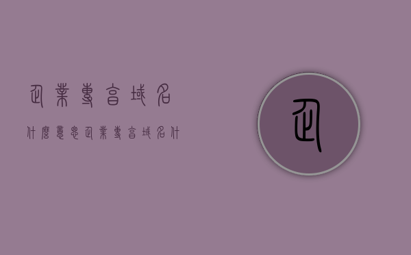 企业专享域名什么意思（企业专享域名什么意思呀），企业专享域名的含义解析