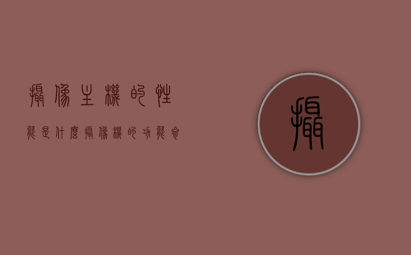 摄像主机的性能是什么（摄像机的功能参数），摄像主机性能概览，功能参数详解