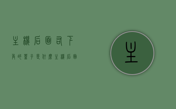 主机后面右下角的盖子是什么（主机后面有个按钮是啥），主机后盖及按钮功能解析，右下角盖子与按钮作用揭秘