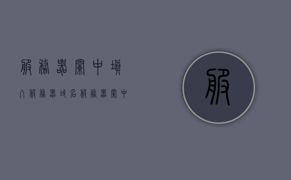 服务器栏中填入服务器域名（服务器栏中填入服务器域名怎么填），如何填写服务器域名到服务器栏中？