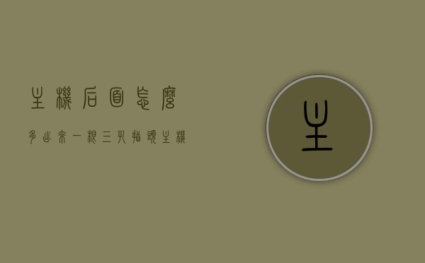 主机后面怎么多出来一根三孔插头（主机后面怎么多出来一根三孔插头线），主机背后的神秘三孔插头，揭秘多余线缆的用途与功能