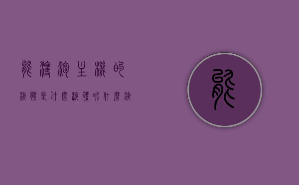 能浸泡主机的液体是什么液体呢（什么液体可以浸泡主板），关于主机浸泡液体的探索，哪些液体适合浸泡主板？