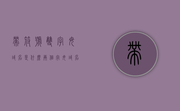带符号双字母域名是什么（两个字母域名），带符号双字母域名解析，什么是两个字母域名？，带符号双字母域名详解，解析定义、特点及应用指南，带符号双字母域名详解，定义、特点、应用指南及解析解析过程介绍