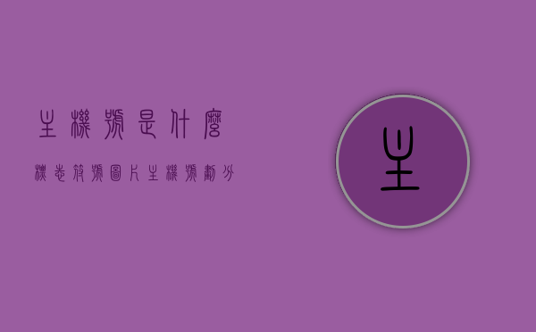 主机号是什么标志符号图片（主机号划分为哪两个部分），关于主机号的标识与划分，详解主机号构成及标志符号图片，详解主机号构成与标识，组成部分及标志符号图片解析，主机号构成解析与标志符号图片详解，构成部分及标识全面解读，主机号构成解析与标志符号详解，组成部分、标识及图片全面解读，主机号构成解析与标志符号详解，组成部分、标识及图片全面解读