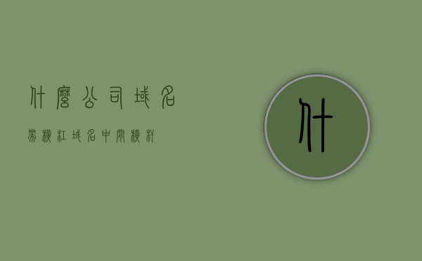 什么公司域名带横杠（域名中间横杆），域名中间横杠的公司名称解析 第1张