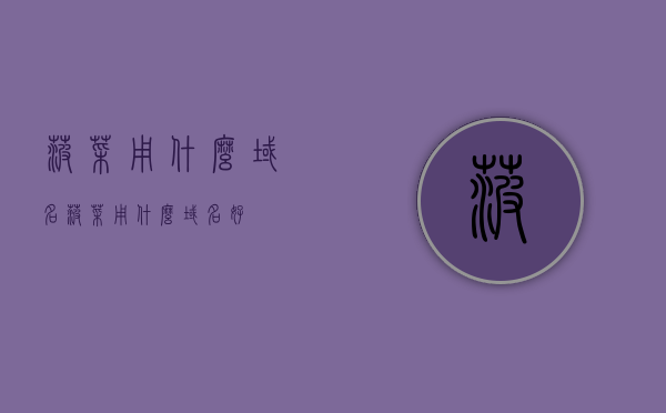 菠菜用什么域名（菠菜用什么域名好），菠菜的最佳域名选择，解析最佳域名选择策略与技巧，菠菜的最佳域名选择与解析策略技巧，菠菜的最佳域名选择与解析策略技巧解析，域名选择策略与技巧详解，菠菜的最佳域名选择策略与技巧解析，解析策略详解及域名选择技巧分享，菠菜的最佳域名选择策略与技巧解析，域名选择策略详解及技巧分享，菠菜的最佳域名选择策略与技巧解析，域名选择策略详解及技巧分享，菠菜域名选择策略与技巧解析，最佳域名选择策略详解及技巧分享