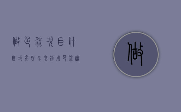 做色流项目什么域名好（怎么利用色流赚钱），色流项目的最佳域名选择与盈利策略探讨（敏感内容警告）