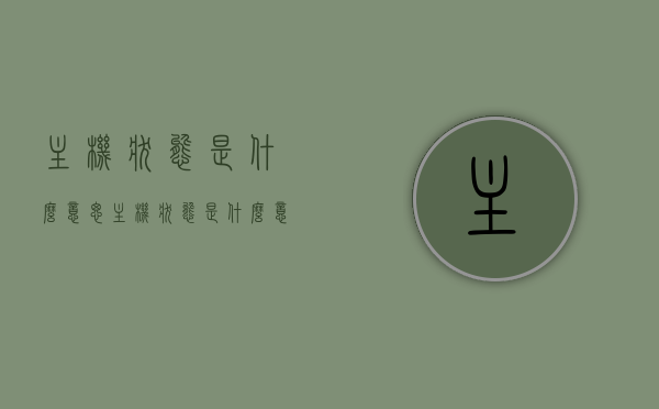 主机状态是什么意思（主机状态是什么意思啊），主机状态的含义解析，主机状态的含义解析