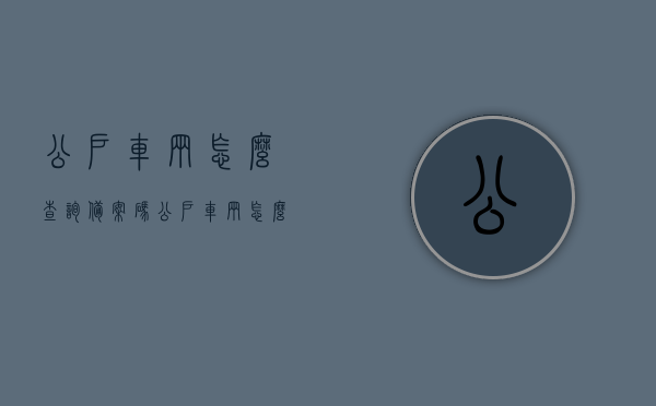 公户车辆怎么查询备案码（公户车辆怎么查询备案码是多少），公户车辆备案码查询指南，如何获取公户车辆备案码及查询方法