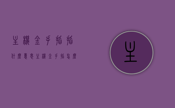 主机金手指指什么意思（主机金手指怎么清理），主机金手指的含义及清理方法指南，主机金手指的含义、清理方法与指南，清理步骤详解，主机金手指的含义与清理方法详解，清理步骤及指南全攻略，主机金手指的含义与清理方法详解，指南、攻略全攻略