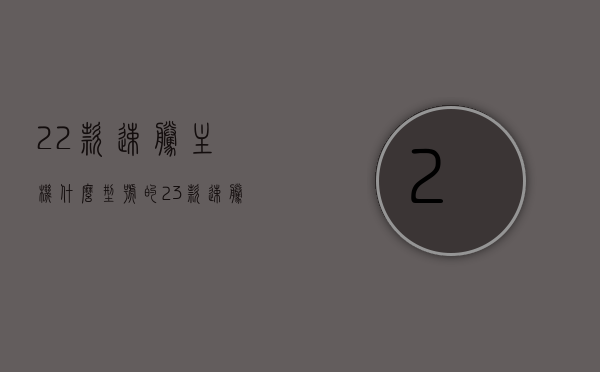 22款速腾主机什么型号的（23款速腾用的什么主机），关于速腾主机型号，从22款到23款的型号解析，速腾主机型号解析，从22款到23款的型号详解及差异对比，速腾主机型号解析，从22款到23款的型号对比及差异详解