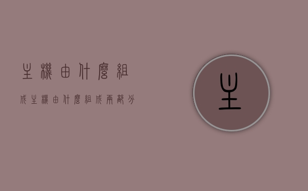 主机由什么组成（主机由什么组成两部分），主机的构成解析，两大核心组成部分揭秘，揭秘主机两大核心组成部分，解析主机构成及两大主要元素探讨，揭秘主机核心构成，两大组成部分深度解析与探讨