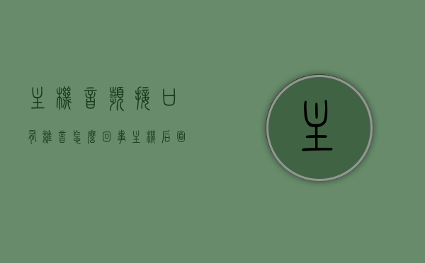 主机音频接口有杂音怎么回事（主机后面的音频接口没声音），主机音频接口杂音问题解析，背后接口无声的原因与解决方案，主机音频接口杂音解析，原因、解决方案与背后无声问题探讨 第1张